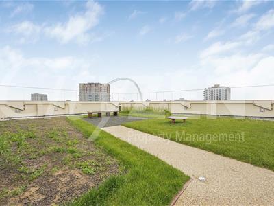 ROOF GARDEN